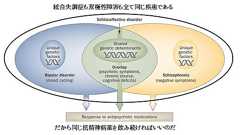 単一精神病論は危険である : 場末P科病院の精神科医のblog