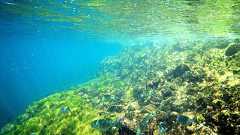 ヒリゾ浜…東京から3時間弱で体験できる尋常じゃない透明度の海 - エアロプレイン