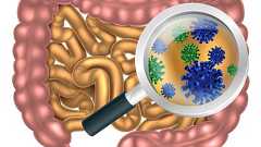 人体と微生物の関係