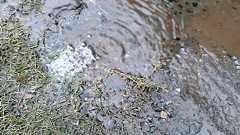 リニア工事との関係、結局どうなの? 町田「庭に水」1カ月、JR東海の情報公開に住民の不満が高まっている:東京新聞デジタル