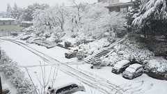 山梨県の大雪災害を山梨日日新聞から読み解く/秦康範 - SYNODOS