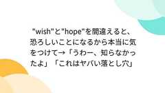 "wish"と"hope"を間違えると、恐ろしいことになるから本当に気をつけて→「うわー、知らなかったよ」「これはヤバい落とし穴」