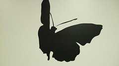 僕がインストールしたAndroidおすすめアプリまとめ - TeraDas(テラダス)