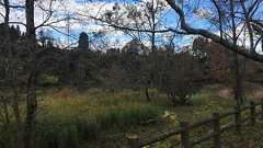 東西富山観光のベース地に!上和田緑地キャンプ場(砺波市)格安☆富山県キャンプ場! - 格安^^キャンプへGO~!