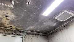 <カビの生えた病棟でー神出病院虐待事件3年>(1)発覚ー報告書から おぞましい行為、集団で黙認