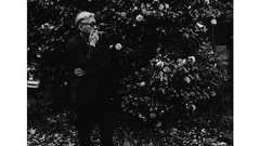 細野晴臣が“音楽の謎”を語る「説明できない衝撃を受けると、やってみたいと思う」