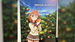 ららぽーと沼津のラブライブ!サンシャイン!!高海千歌さんの西浦みかん大使コラボ展示が中止に