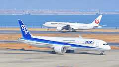 失敗したくない「飛行機」選び、プロはどうやってお得に選んでいる?