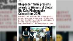 あるインド人が日本の切り絵作家の作品を自分の作品として、印環境大臣に贈呈していた…作家は「この作品は私のものだと全世界に訴えたい」