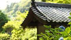 同じネットなのに地方と都心に住む人達の埋めようの無い違いが解けた