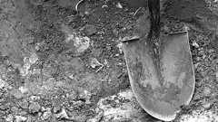 アメリカ人捕虜を殺してその肉を食べた…… “狂気の宴会”が行われた「父島事件」とは | 終戦、75年目の夏 | 文春オンライン