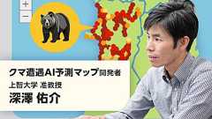 「クマ遭遇AI予測マップ」を開発して見えたもの。人流解析のプロが野生動物の世界に挑んだ所感【フォーカス】 レバテックラボ(レバテックLAB)