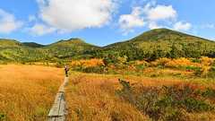 八甲田山 広大な湿原歩きと紅葉登山 (酸ヶ湯温泉ルート)