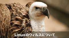 【初心者向け基本解説】Linuxのウィルスとその対策方法