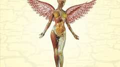 NMEが選ぶ、アルバムの最後を飾る歌詞の一節が完璧な名作 24枚 | NME Japan