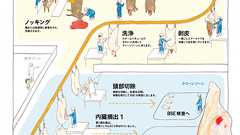 牛の解体 〜加古川食肉センターで見学してきました。 - いただきます絵本プロジェクト