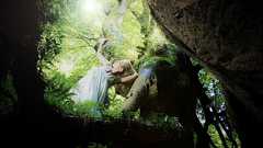 江戸時代の縞柄 | 【公式】亀田縞 - 江戸ストライプ