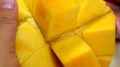 激ウマだから徳之島のマンゴーを お中元で贈るべき!!!(…というか私がほしい) | ヨッセンス