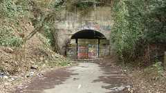 マジで入ってはいけない場所 : 哲学ニュースnwk