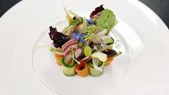 自然療法でがん治癒とうそ、本出版などで荒稼ぎの豪ブロガーに罰金3600万円