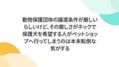 動物保護団体の譲渡条件が厳しいらしいけど、その厳しさがネックで保護犬を希望する人がペットショップへ行ってしまうのは本末転倒な気がする