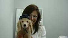 「ギャル」嫌いな人たちへ「どうぞシカトしてください、ギャルの世界へは招待しません。」 : 痛いニュース(ノ∀`)