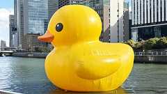 アヒルの人形に話しかけて問題の解決を図る「ラバーダック・デバッグ」はなぜ有効なのか?