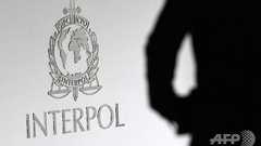 インターポール、小児性愛者のネットワークを解体 子ども50人救出