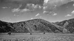 萩原義弘のすかぶら写真日記