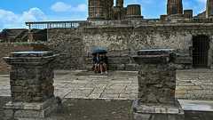 火山噴火で壊滅のポンペイ、同時発生した地震による死者も 研究