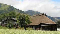 40代男性「生活費8000円」田舎暮らしで得た快感