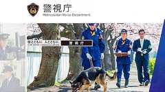 池袋暴走事故で元通産官僚の容疑者を逮捕せずネットで批判…元検察幹部の人身事故でも逮捕見送り恣意性丸出し捜査 (2019年4月21日) - エキサイトニュース