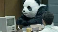 エジプトのパンダは凶暴?ブチ切れパンダのおもしろCM | カラパイア