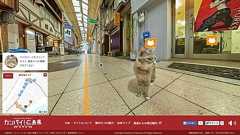 世界初、猫目線のストリートビュー!猫をめぐるタウンガイド「広島CAT STREET VIEW 尾道編」公開