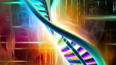 遺伝の影響|収入は59%、音楽の才能は92% | すべてがユルい春子の日記