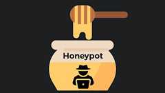 わざとシステムを攻撃させて攻撃手法を観測する「ハニーポット」を30日間設置した結果をセキュリティエンジニアが公開