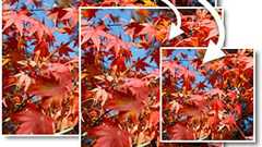 簡単!リアルタイム画像変換をNginxだけで行う方法