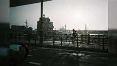 「1日1枚シャッターを切って」と言って母に写ルンですを渡したら…写真を撮り慣れた人とは異なる新鮮な視点がエモい「ぼけてるあたりもいい」