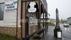 サイズがすべてだ!アイスランドの「ペニス博物館」