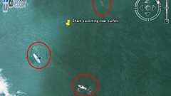 Google Earthでサーファーに接近するサメを発見 - GIGAZINE