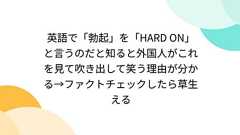 英語で「勃起」を「HARD ON」と言うのだと知ると外国人がこれを見て吹き出して笑う理由が分かる→ファクトチェックしたら草生える