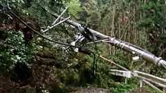 近畿の停電、なぜ大規模化? 電柱・電線が思わぬ大被害:朝日新聞デジタル