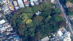 江戸からの「奇跡の森」、開発で伐採 なぜ守れなかった:朝日新聞デジタル