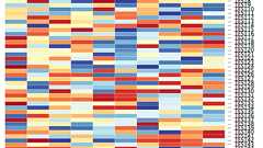 Rで解析:インタラクティブなヒートマップ!D3.jsを利用した「d3heatmap」パッケージの紹介