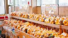 なぜ和歌山県で「1億円プレーヤー」の農家が増えているのか…東大教授が絶賛する「野田モデル」の画期的内容 直売所スタイルなのに、30店舗で一気に売り切れる