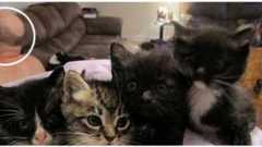 写りこんでしまった見てはならないもの、撮影失敗画像特集 Part3 : カラパイア