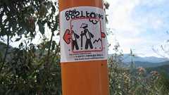 お遍路に韓国人が貼りまくる謎のシールを四国八十八カ所霊場会が許す理由