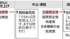 れいわに支持を…立憲が懸念 広がる反緊縮、自民候補も:朝日新聞デジタル