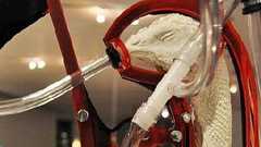 ニワトリを脳死状態にして栄養を送り鶏肉を生産するシステムが提案される : オレ的ゲーム速報@刃