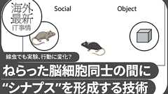 魚から作った“電気シナプス”をマウスの脳に配置。社交性、ストレス耐性が向上?【研究紹介】 レバテックラボ(レバテックLAB)